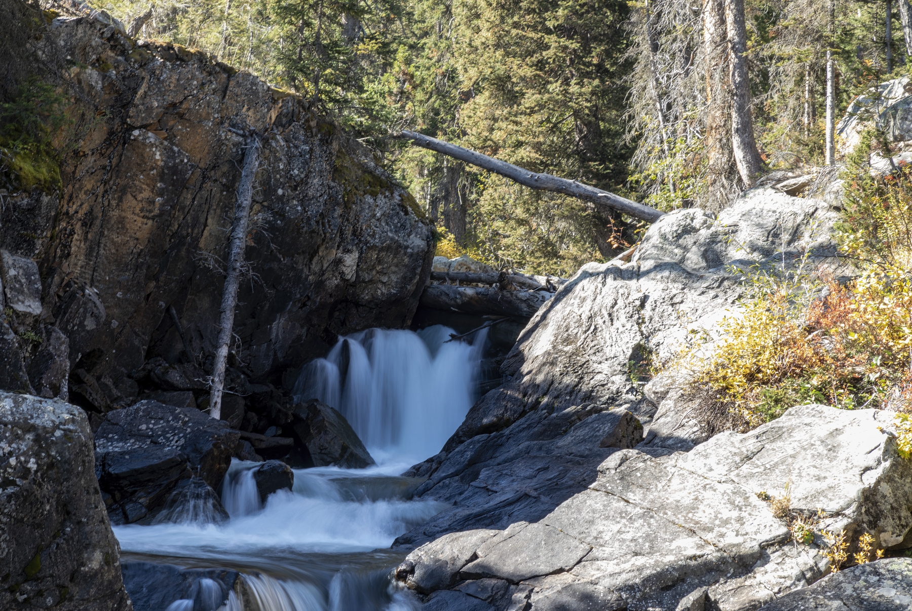 Trail to Hidden Falls, Grand Teton National Park